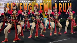 Download lagu LAGU SENENG DEWI ARUM - NDOLALAK DEWI ARUM (LIVE) JAWARAN WATUMALANG WONOSOBO  mp3