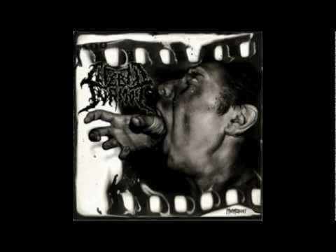 Cerebric Turmoil - 23071963 (from the split ep with Defeated Sanity)