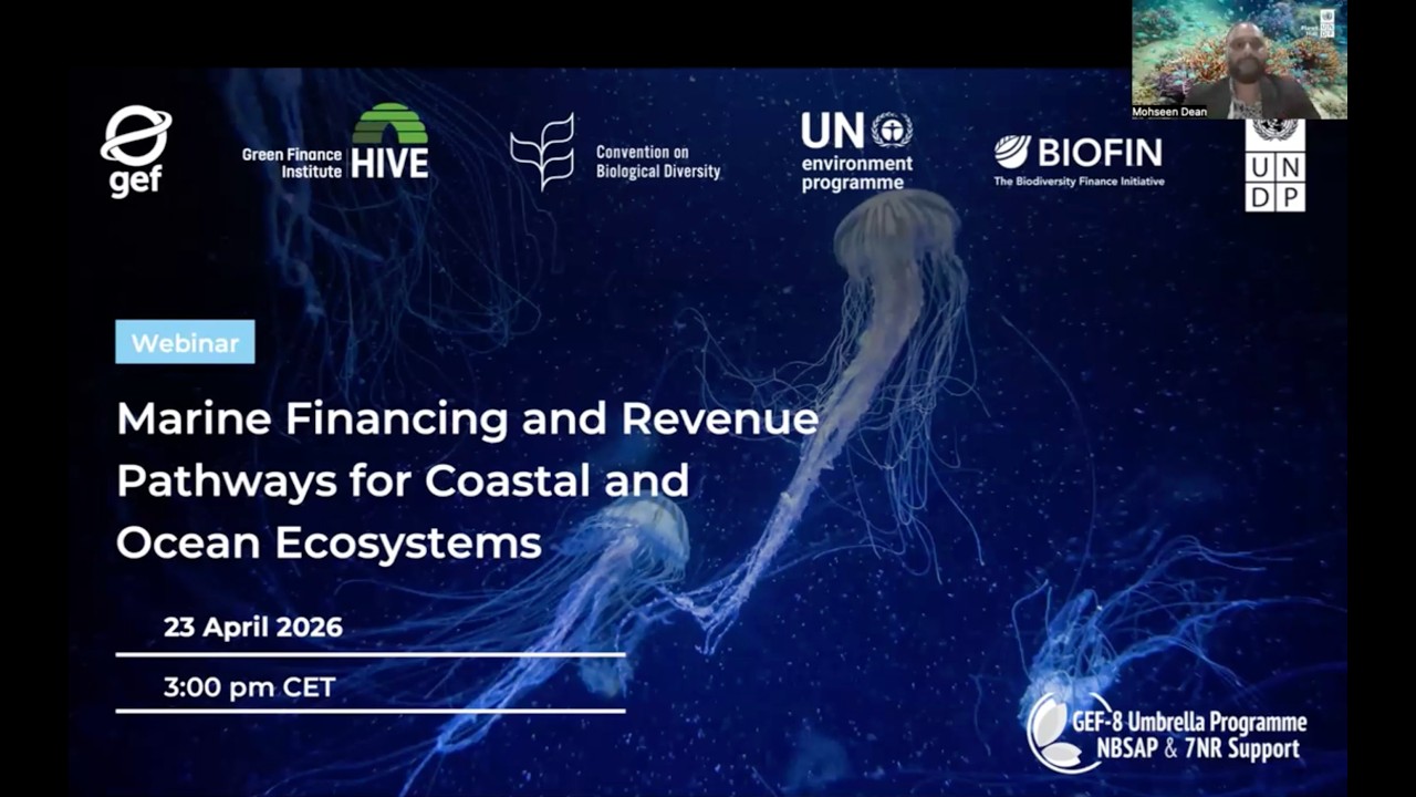 Webinar: Marine Financing and Revenue Pathways for Coastal and Ocean Ecosystems