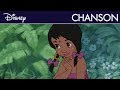 Le Livre De La Jungle Ma Maison Sous Le Chaume