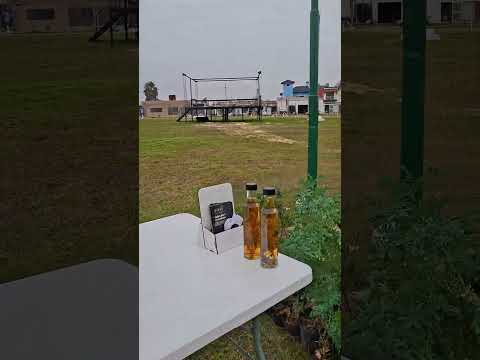 Hoy regalamos ruda en Pueblo General Belgrano #Gualeguaychú #EntreRios #quehacerengualeguaychu
