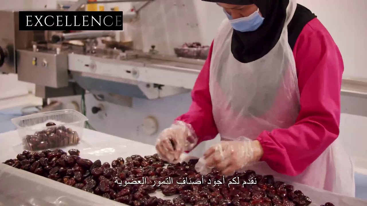Producing the highest quality of Dates