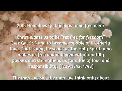#Saggezza Day 244: Youcat: How does God help us to be free men?#