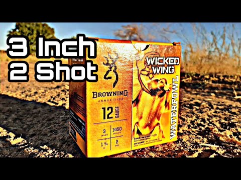 Ergonomics of Browning Cynergy