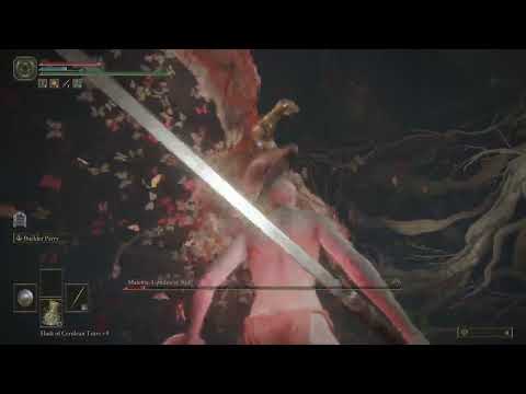 Patch 1.09 - Malenia solo Ng - hitless - Twinblade - Barbaric Roar series