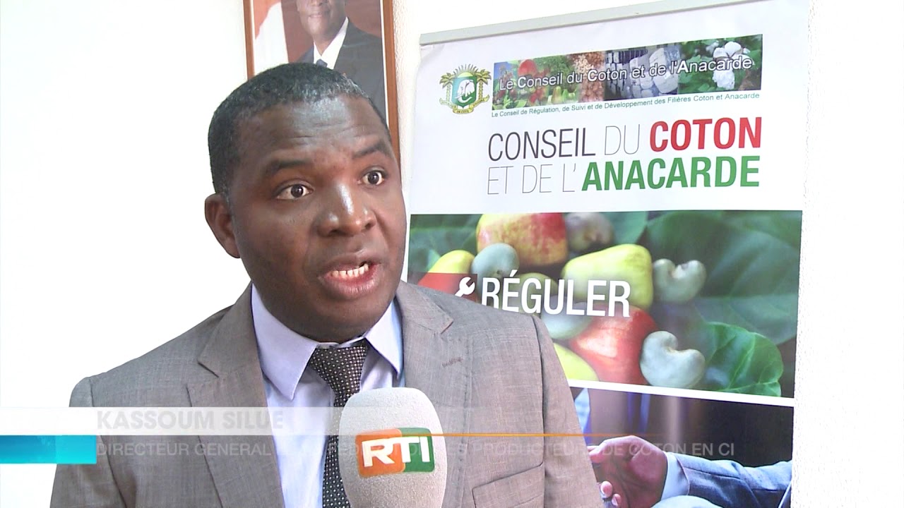 Filière coton: mise en oeuvre du projet de zonage industriel