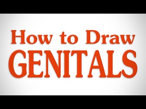 How to Draw Genitals