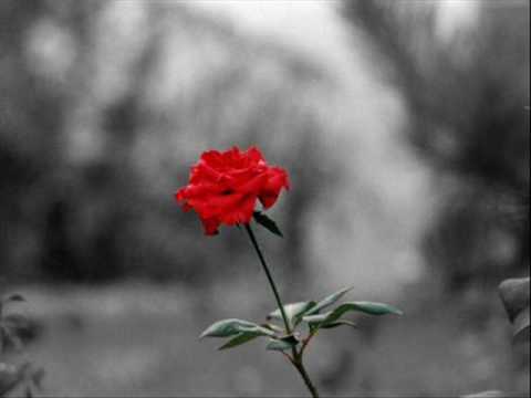 Lina Joy - Nutapysiu (dainuoju)