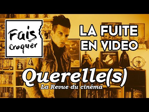 La Fuite en vidéo