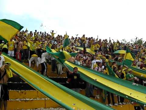 "FLS DE KaRNaVal" Barra: Fortaleza Leoparda Sur • Club: Atlético Bucaramanga