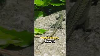 What Does the Lizard Symbolize in Different Cultures? #spiritual #lizard #spirituality