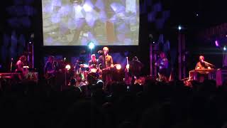 The Triffids feat. Marley Wynn - Save What You Can (live)