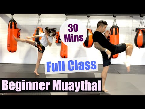 BEGINNER MUAYTHAI FULL CLASS - 30 Mins // No Equipment // Small Space & Iso Friendly!