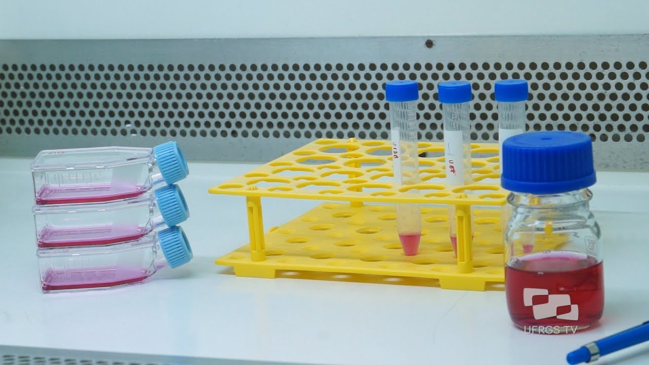 Método de cultivo de células tronco tumorais - Vitrine Tecnológica