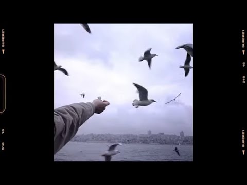 @MomoSkyMusic  Ft. X - Voyageur Clip Officiel rap musique