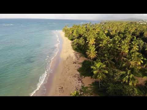 [FREE] Jack Harlow X Bankrol Hayden Type Beat - "Bahama Baby" 2023