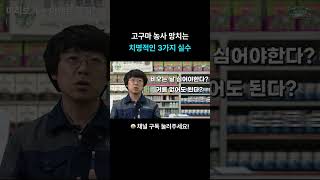 고구마 농사 망치는 치명적인 3가지 실수