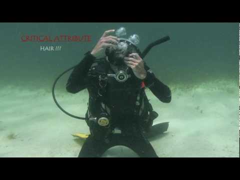 Mask Removal Replacement and Clearing, Skill # 8