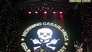 Download lagu morning casablanca - in bloom Live (music interpretation by morning casablanca) mp3 Download lagu morning casablanca - in bloom Live (music interpretation by morning casablanca) mp3