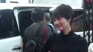 美人　コンパニオン