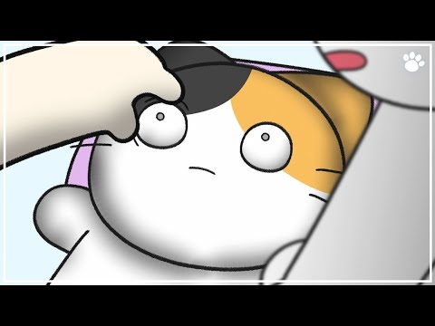 Do Dogs and Cats Dream?