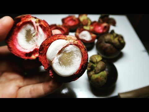 Yang harus beban untuk menurunkan berat badan Yoghurt Yunani untuk menurunkan berat badan
