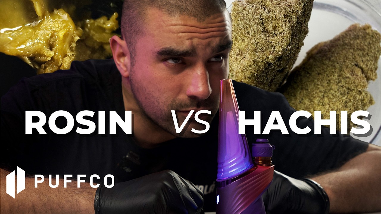 H*chis vs R*sin: Cuál es el más FUERTE? Experimento Científico