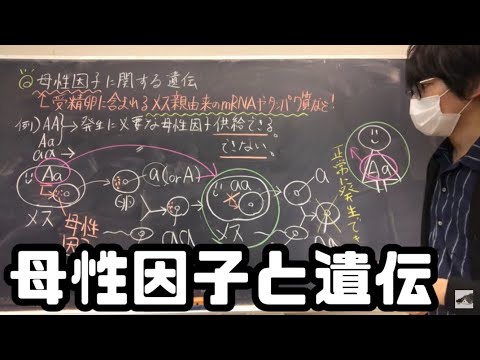 遺伝子は幸せな関係を築くかどうかに影響を与える