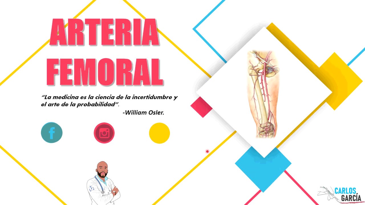 Anatomía - Arteria Femoral (Trayecto, Relaciones, Ramas)