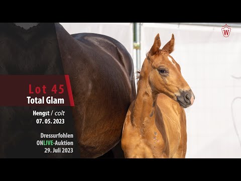 ONLIVE-AUKTION Lot 45 Total Glam Hengst v. Total Diamond PS - Rockford