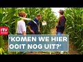 Verdwalen in een maïsdoolhof, wc's schrobben en verkleden als mascotte | Campinggasten | RTV Drenthe