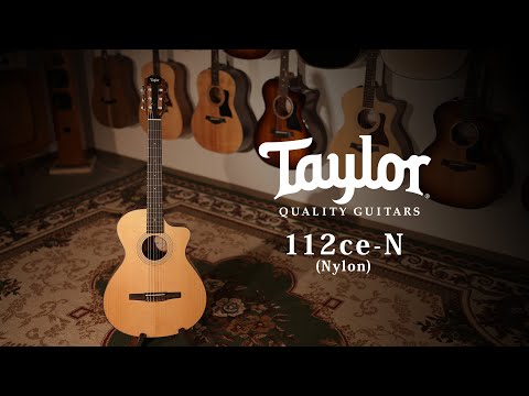 Taylor 112ce-N (Nylon) / MION introduction