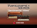 Video 2: Sentimental Vibes by James Terris