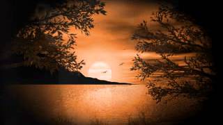 MARIA BETHANIA & LENINE   " SAUDADE "