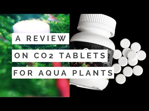 A Cheapest Co2 for any High tech Planted Aquarium...