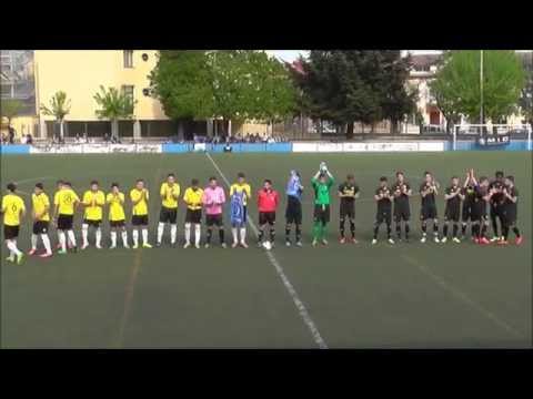 FUNDACION HERMES MIC14