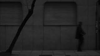 Poison Tree - The Milk Carton Kids