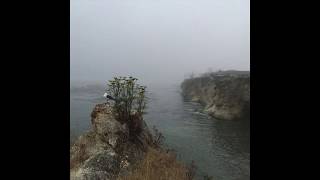 Blossom Dearie - Something Happens To Me (vuvu le