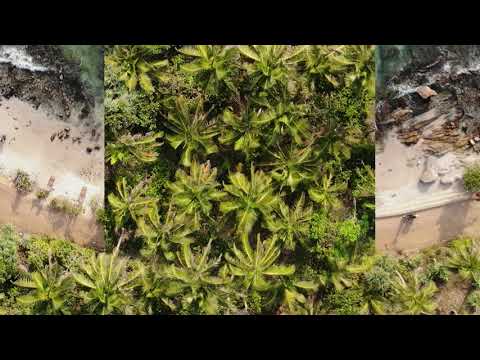 Hillsdom - Can't Lie (ft. Solo Jane) [Pilot Release]