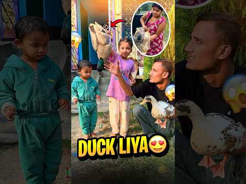 Local Duck Liya Mini Vlog 😍 - #minivlog #MiniVlogs #sonuvlogs #shorts #ytshorts #entertainment