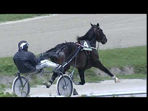 Napoli Trotto 12/05/2023 - 1ª corsa