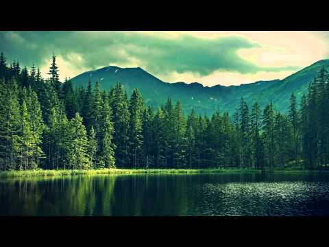 Disco’s Over & HotFunk – Lonely Island (Sweekuh Remix)