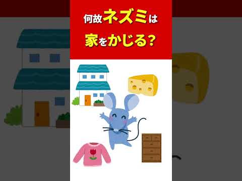 白酢を使ってネズミを駆除する方法は？自然で効果的なヒント  庭園