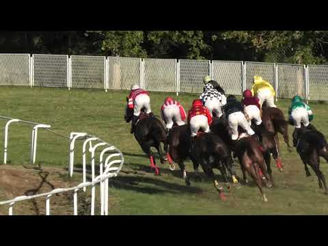 Trka "Srpske Konjičke Divizije" 04.10.2020 Spencers son - Goran Mešetović