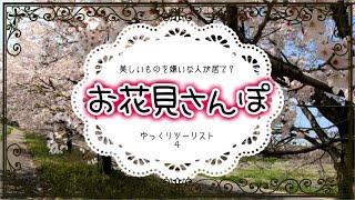 花見さんぽ２【ゆっくりツーリスト】美しいものを嫌いな人が居て？４