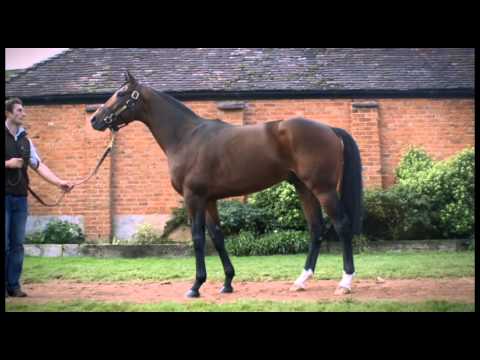 14CMSUTUBE HarbourWatch