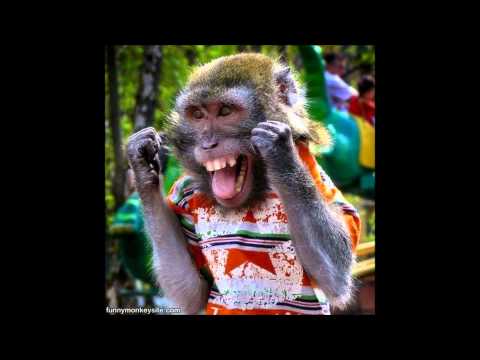 The Monkey