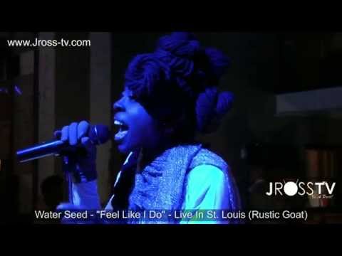 James Ross @ WaterSeed - "Feel Like I Do" - Live In St. Louis - www.Jross-tv.com