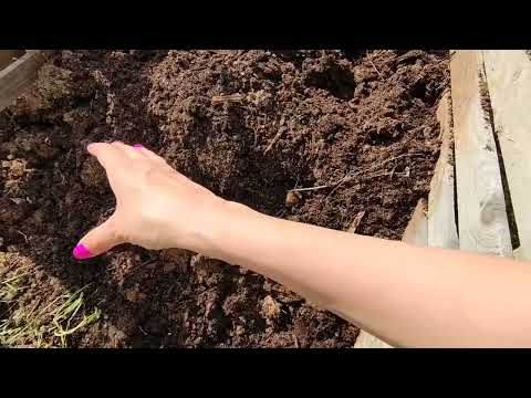 Pierwsze przerzucanie kompostu. Mieszanie pryzmy kompostowej ze świeżą trawą