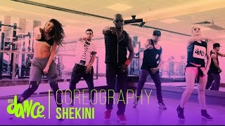 Shekini - PSquare - Coreografía - FitDance Life